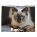 Suche nach grasen sie büro zubehör Katze