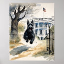 Recherche de scottish terrier posters Dog