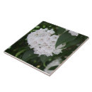 Recherche de indigène carreaux Nature