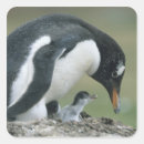 Suche nach gentoo aufkleber Tier
