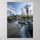 Suche nach landscape photography poster Trees