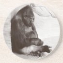 Suche nach gorilla untersetzer Primat