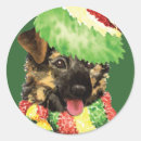 Recherche de alsacien autocollants Deutscher schaferhund