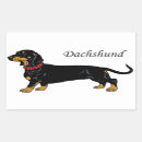 Recherche de teckel autocollants Canin