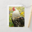 Suche nach blumenwiese poster Farbenfroh