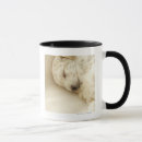 Suche nach tailles tasses Taille oben