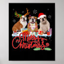 Suche nach weihnachtsblumen poster Weihnachten