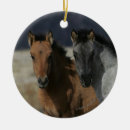 Recherche de mustang ornements Équestre
