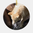 Suche nach grauer wolf ornamente Natur