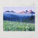 Recherche de rain cartes postales Alpin
