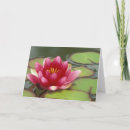 Suche nach nordamerika karten Usa