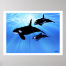 Recherche de sperme posters Cétacé