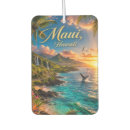 Recherche de côte voiture accessoires Paradis tropical
