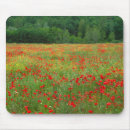 Recherche de jul tapis souris Destination