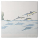 Suche nach delphine fliesen Dekor