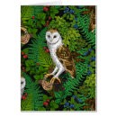 Recherche de glands de chêne cartes postales Botanique