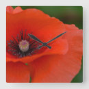 Recherche de poppy horloges Fleur