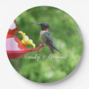 Recherche de colibri photographie Faune