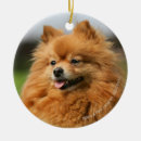 Suche nach keuchen ornamente Loulou
