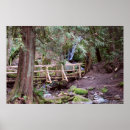 Suche nach coal poster Bach