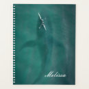 Suche nach wales planer Ozean