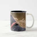 Recherche de labrador retriever noir tasses Dehors