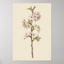Suche nach kirschblüten poster Natur wandkunst
