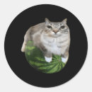 Suche nach murica aufkleber Amerika