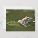 Suche nach frosch postkarten Amphibisch