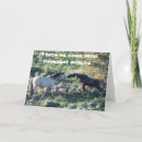 Suche nach lustige elche karten Tierwelt