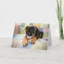 Suche nach english bulldog karten Niedlich