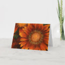 Suche nach jw karten Blume