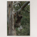 Suche nach koala puzzle Australie