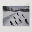 Suche nach moritz St moritz