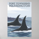 Recherche de orca art Washington
