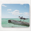 Suche nach totem mousepads Vögel