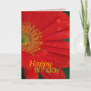 Suche nach rote gänseblümchen karten Gerbera