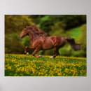 Suche nach kastanien poster Blume