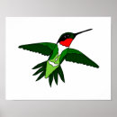 Recherche de colibri posters Oiseau