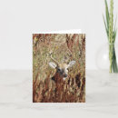Recherche de whitetail vœux cartes Cerfs communs