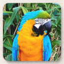 Suche nach maus untersetzer Natur