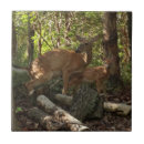 Suche nach deer fliesen Natur
