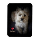 Suche nach cairns magnete Terrier