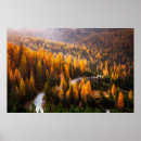 Suche nach kurvenreiche straße poster Landschaft