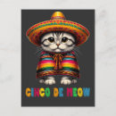 Recherche de meow cartes postales Cinco de meow