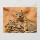 Recherche de terre cartes postales Mignon