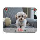 Recherche de animaux noël cartes Image