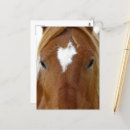 Recherche de gelatin cartes postales Équin
