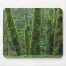 Suche nach doener mousepads Jaynes gallery