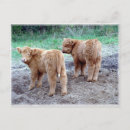 Suche nach schwanz postkarten Niedlich